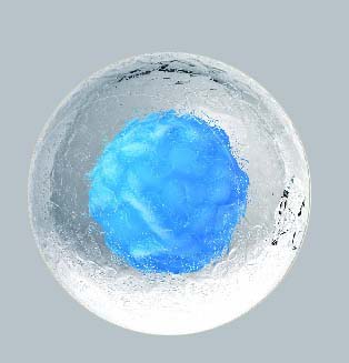 Anallerg® Reyouth Super Natural Antioxidant