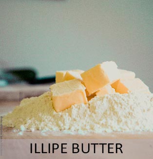 Illipe Butter